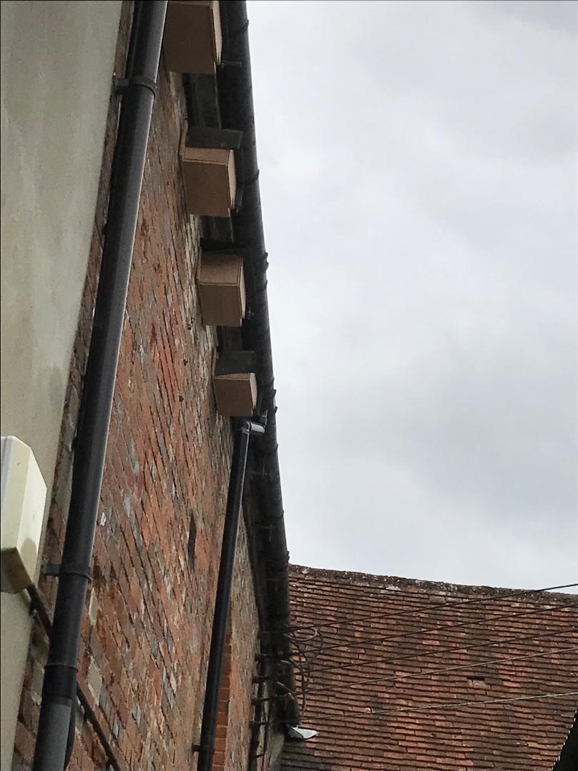 swift nestboxes high on side wall of church